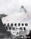 关于我老婆申鹤飞升这一档事