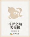 斗罗之踏雪无极