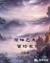 原神之大冒险家
