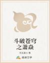斗破苍穹之萧焱