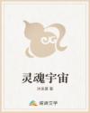 灵魂宇宙