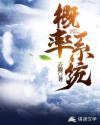 概率系统