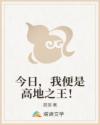 今日,我便是高地之王!
