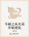 斗破之从火苗开始进化