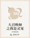 大召唤师之我是灵宠