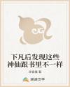 下凡后发现这些神仙跟书里不一样