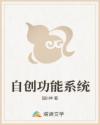 自创功能系统