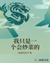 我只是一个会炒菜的
