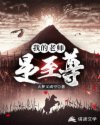 我的老师是至尊