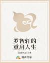 罗智轩的重启人生