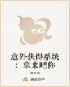 意外获得系统:拿来吧你