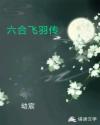 六合飞羽传
