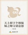 天上掉下个林妹妹之师父请息怒