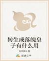 转生成落魄皇子有什么用