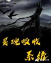 灵魂吸收系统