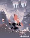 御兽我是认真的