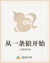 从一条狼开始