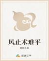 风止术难平