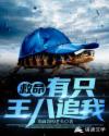 救命,有只王八追我!