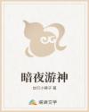 暗夜游神