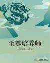 至尊培养师