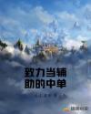 致力当辅助的中单