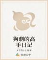狗剩的高手日记