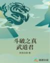 斗破之真武道君