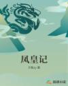 凤皇记