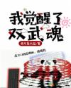 我觉醒了双武魂