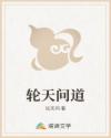 轮天问道