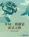 开局:我就是雷灵之体