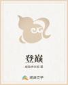 登巅