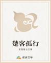 楚客孤行