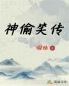 神偷笑传