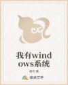 我有windows系统