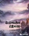 命运相遇时,已是轮回