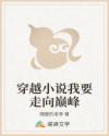 穿越小说我要走向巅峰