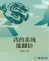 我的系统能翻倍