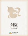 剑盗