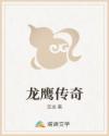 龙鹰传奇