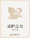 灵护之力
