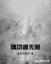 魂功道无极