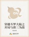 穿越斗罗大陆之开局与唐三为敌