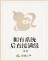 拥有系统后直接满级