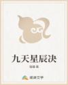 九天星辰决