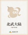 北武大陆