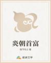 炎朝首富