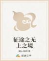 征途之无上之境