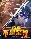 我真不是至尊